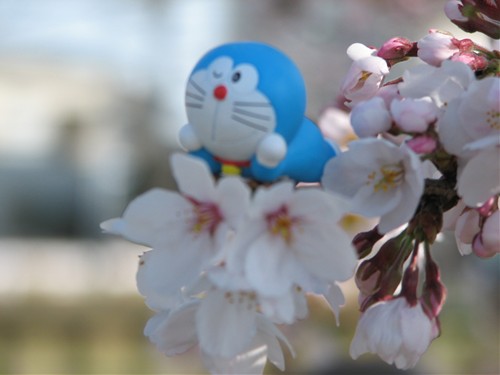 ドラえもんと春の花